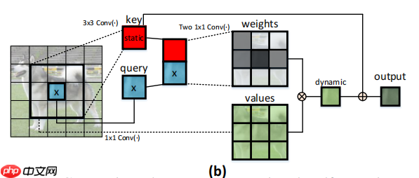 基于PaddlePaddle复现CoTNet - php中文网