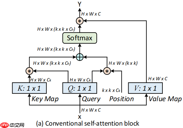 基于PaddlePaddle复现CoTNet - php中文网