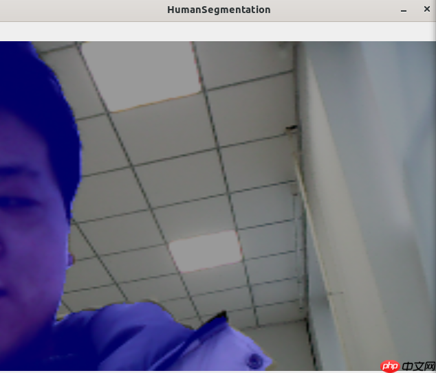 轻量级人像分割模型PP-HumanSeg树莓派部署 - php中文网