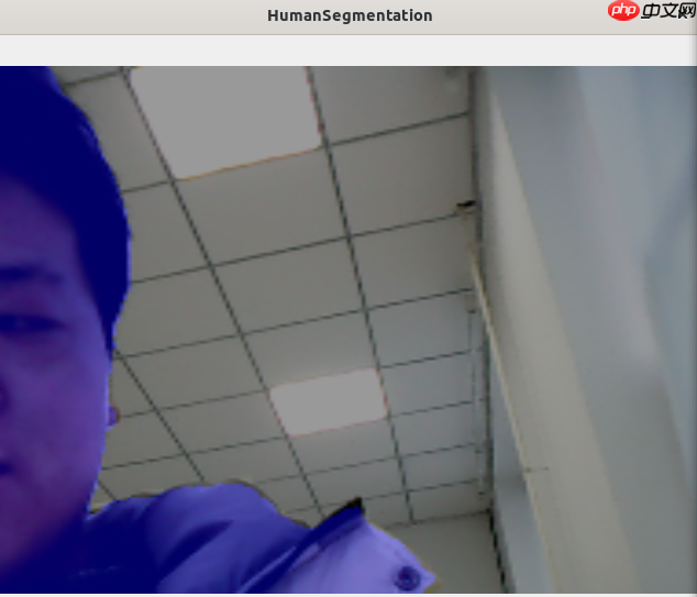 轻量级人像分割模型PP-HumanSeg树莓派部署 - php中文网