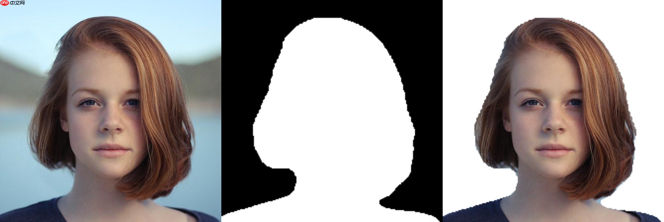 轻量级人像分割模型:SINet 和 ExtremeC3Net - php中文网