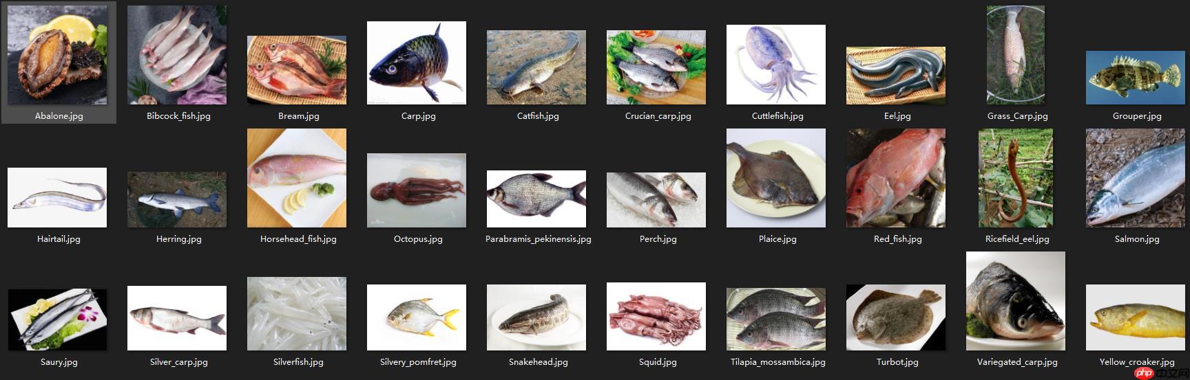 【AI达人创造营】菜市场常见鱼类分类从0到PaddleLite部署 - php中文网