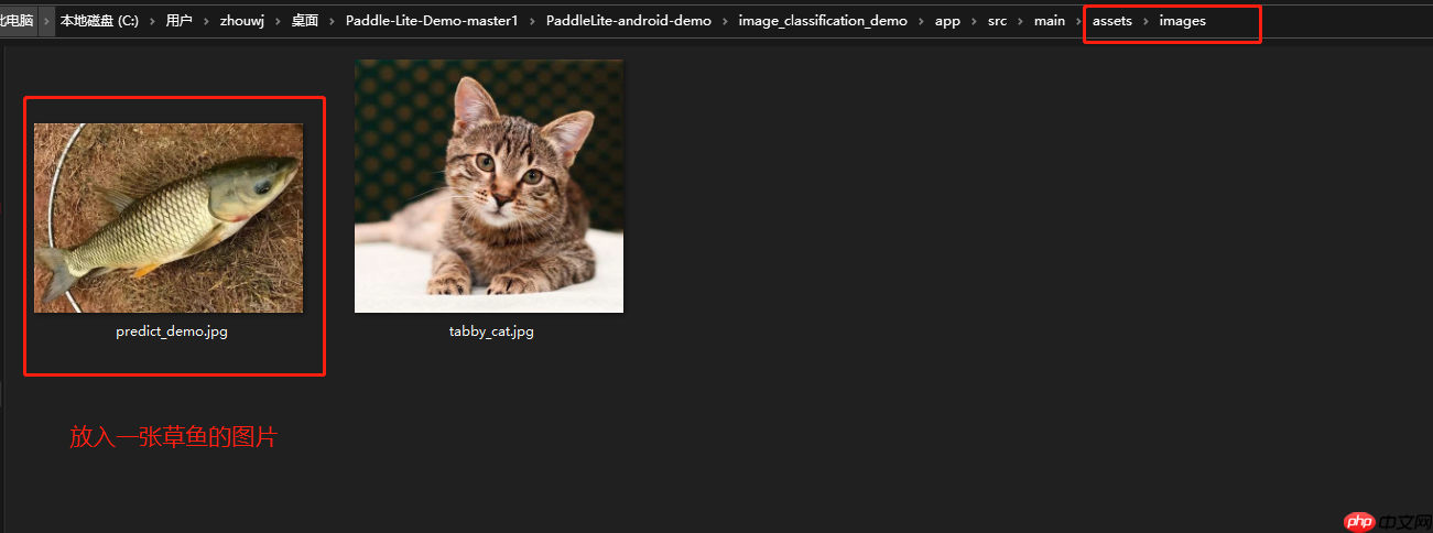 【AI达人创造营】菜市场常见鱼类分类从0到PaddleLite部署 - php中文网