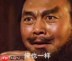 【AI workshop】增强的PicoDet有多猛?来,跑个RM数据集试试! - php中文网