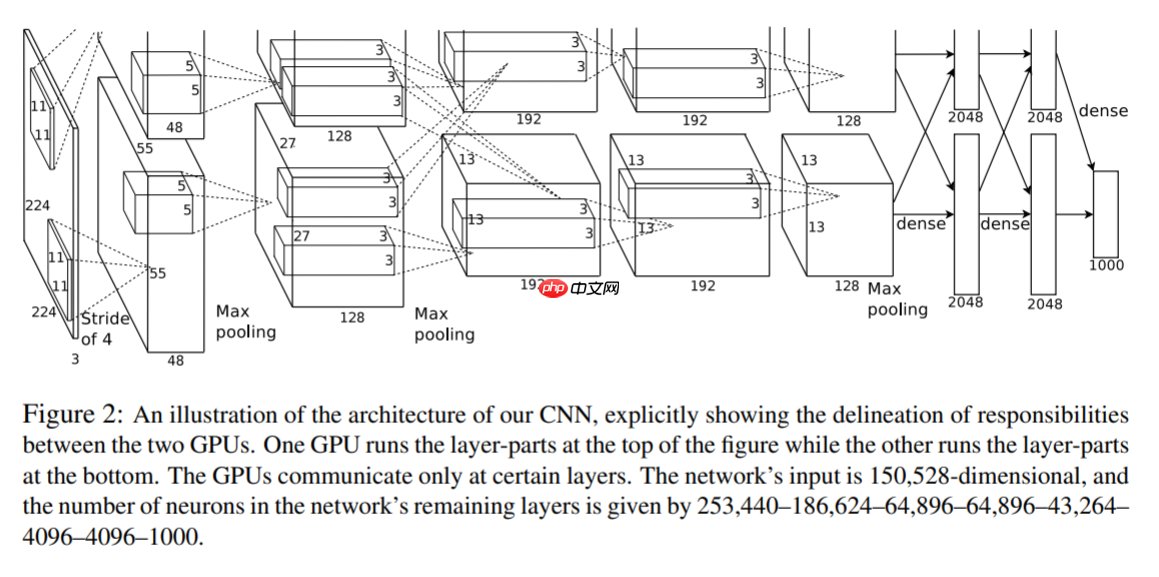 自己动手搭建模型:图像分类篇 - php中文网
