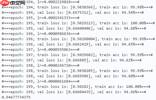 【TMM 2022】SPGNet:串行和并行组网络 - php中文网