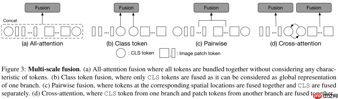 【ICCV 2021】CrossViT:用于图像分类的交叉注意力的多尺度ViT - php中文网