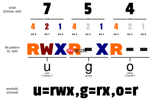 [金融]决策科学-(一)编程工具 - php中文网