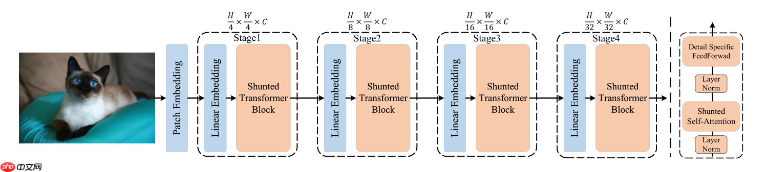 Shunted Transformer 飞桨权重迁移体验 - php中文网