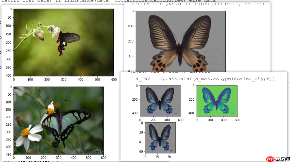 2.1新版组网训练生成并推理模型完整流程 - php中文网