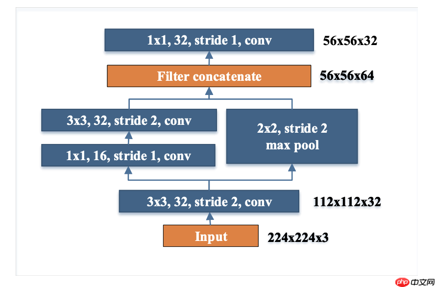基于PaddlePaddle复现的PeleeNet - php中文网