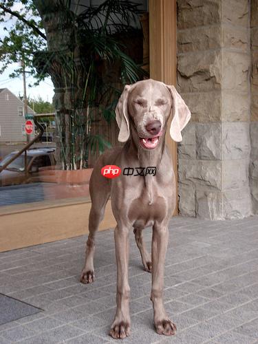 基于PaddlePaddle复现的PeleeNet - php中文网