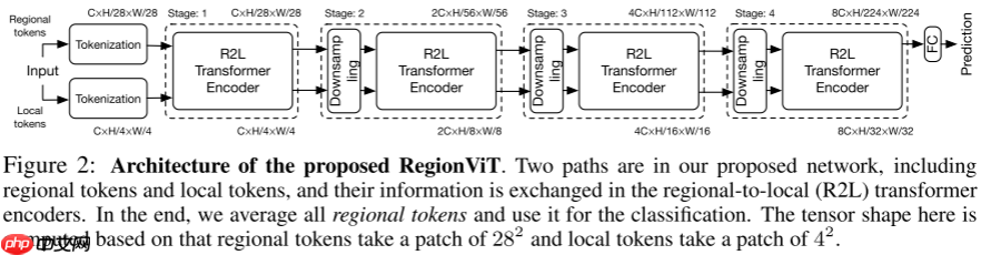 【ICLR 2022】RegionViT:从区域到局部的ViT - php中文网