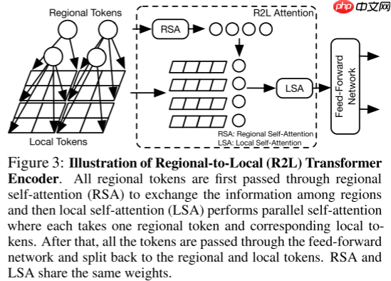 【ICLR 2022】RegionViT:从区域到局部的ViT - php中文网