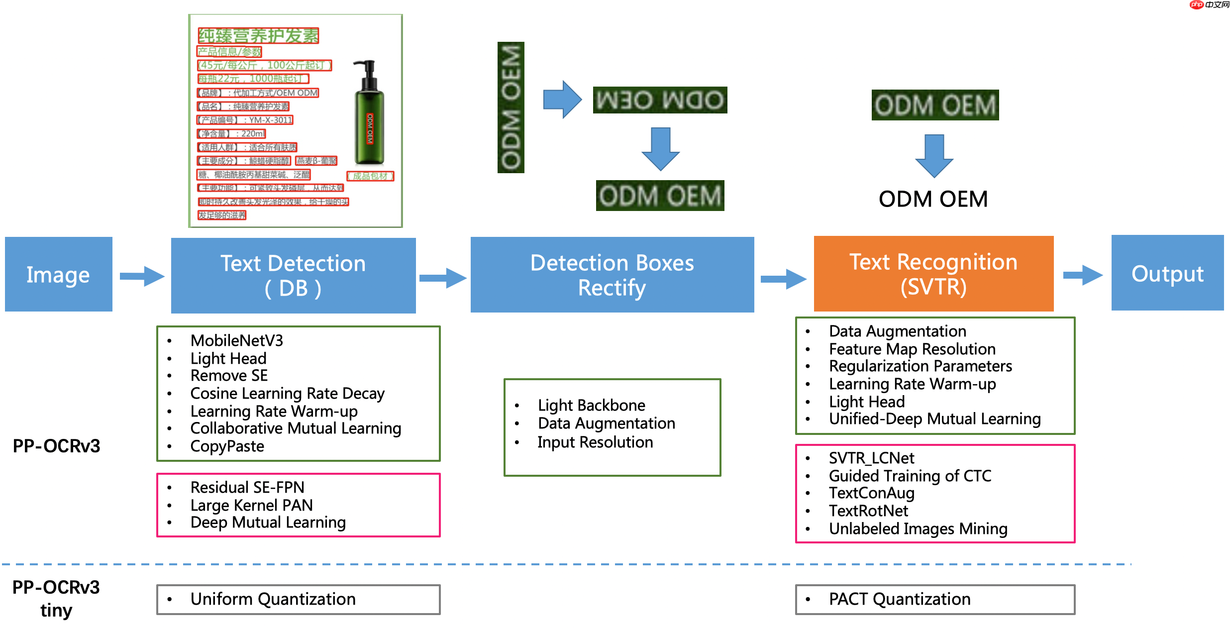 【校园AI Day-AI workshop】快速用PP-OCRv3识别并重命名 - php中文网