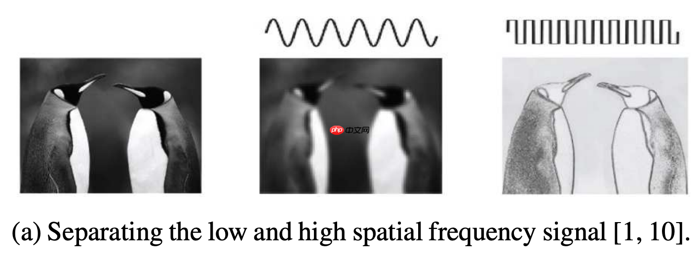 给你的神经网络降低一个八度:八度卷积飞桨版本复现 - php中文网
