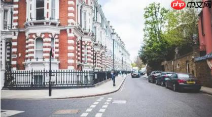 【PaddlePaddle+OpenVINO】用PaddeHub的ONNX模型 - php中文网