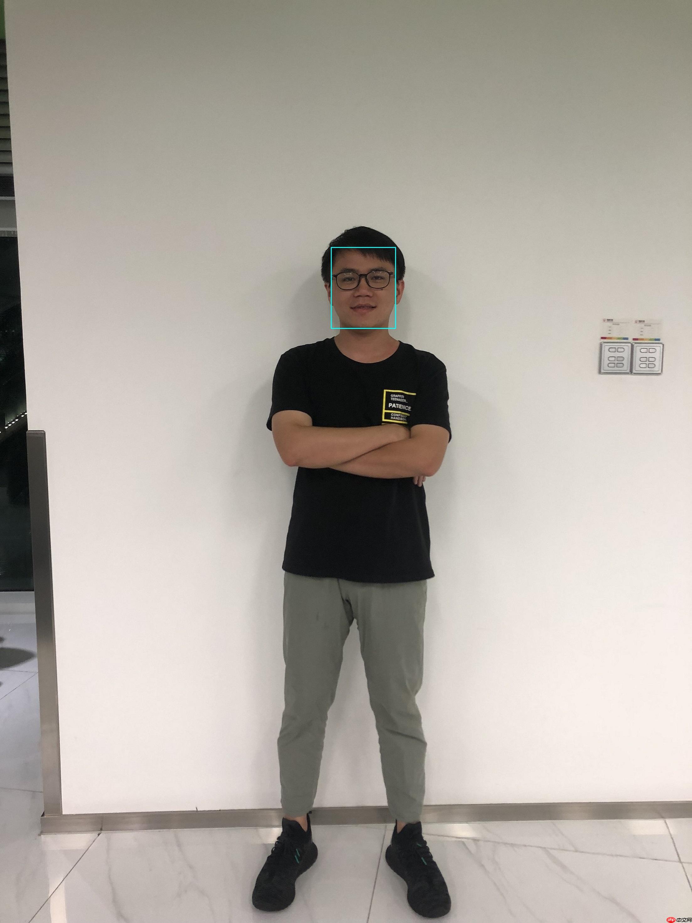PaddleHub DEMO项目合集(运行版) - php中文网