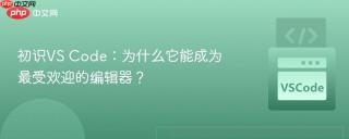 初识vs code:为什么它能成为最受欢迎的编辑器?