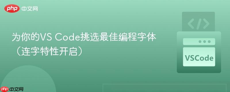 为你的vs code挑选最佳编程字体(连字特性开启)