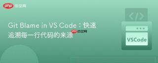 git blame in vs code:快速追溯每一行代码的来源