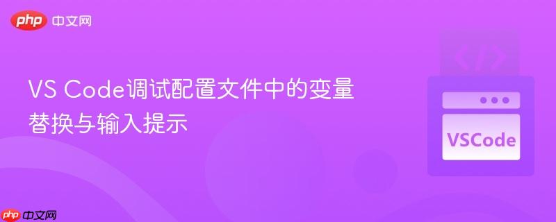 vs code调试配置文件中的变量替换与输入提示