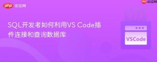 SQL开发者如何利用VS Code插件连接和查询数据库