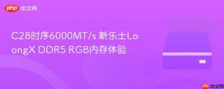 C28时序6000MT/s 新乐士LoongX DDR5 RGB内存体验
