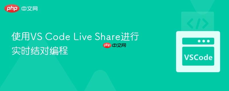 使用vs code live share进行实时结对编程