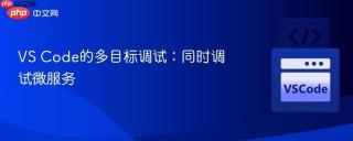 vs code的多目标调试:同时调试微服务