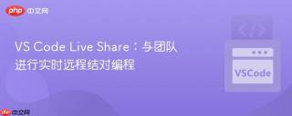 VS Code Live Share：与团队进行实时远程结对编程