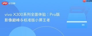 vivo X300系列全面体验：Pro版影像巅峰与标准版小屏王者