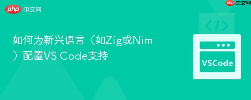 如何为新兴语言（如zig或nim）配置vs code支持