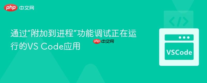 通过“附加到进程”功能调试正在运行的vs code应用