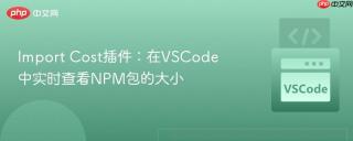 Import Cost插件：在VSCode中实时查看NPM包的大小