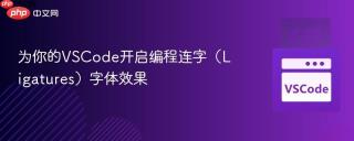 为你的VSCode开启编程连字（Ligatures）字体效果