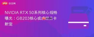 NVIDIA RTX 50系列核心规格曝光：GB203核心或成甜点卡新宠