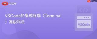 VSCode的集成终端（Terminal）高级玩法