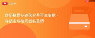 西部数据与铠侠合并再生变数，存储市场格局面临重塑