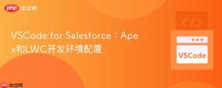 VSCode for Salesforce：Apex和LWC开发环境配置