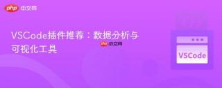 VSCode插件推荐：数据分析与可视化工具