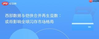 西部数据与铠侠合并再生变数：或将影响全球闪存市场格局