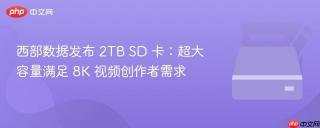 西部数据发布 2TB SD 卡：超大容量满足 8K 视频创作者需求