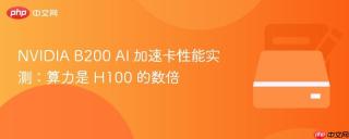 NVIDIA B200 AI 加速卡性能实测：算力是 H100 的数倍
