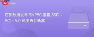 西部数据发布 SN950 黑盘 SSD：PCIe 5.0 速度再创新高