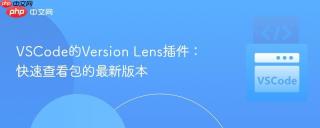 vscode的version lens插件：快速查看包的最新版本