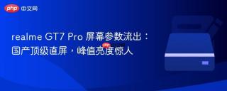 realme GT7 Pro 屏幕参数流出：国产顶级直屏，峰值亮度惊人