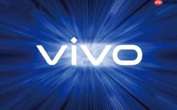 vivo X110 系列快充方案升级：200W有线与120W无线组合或成真