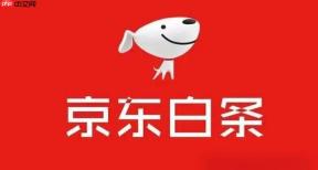 京东白条还款有哪几种方式_京东白条怎么还款【攻略】