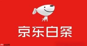 京东白条还款有哪几种方式_京东白条怎么还款【攻略】